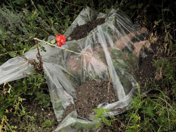 Thi thể Hài Nhi. Thật xót xa